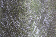 Riddell fibreglass roof work