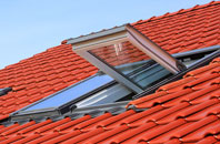Riddell roof window